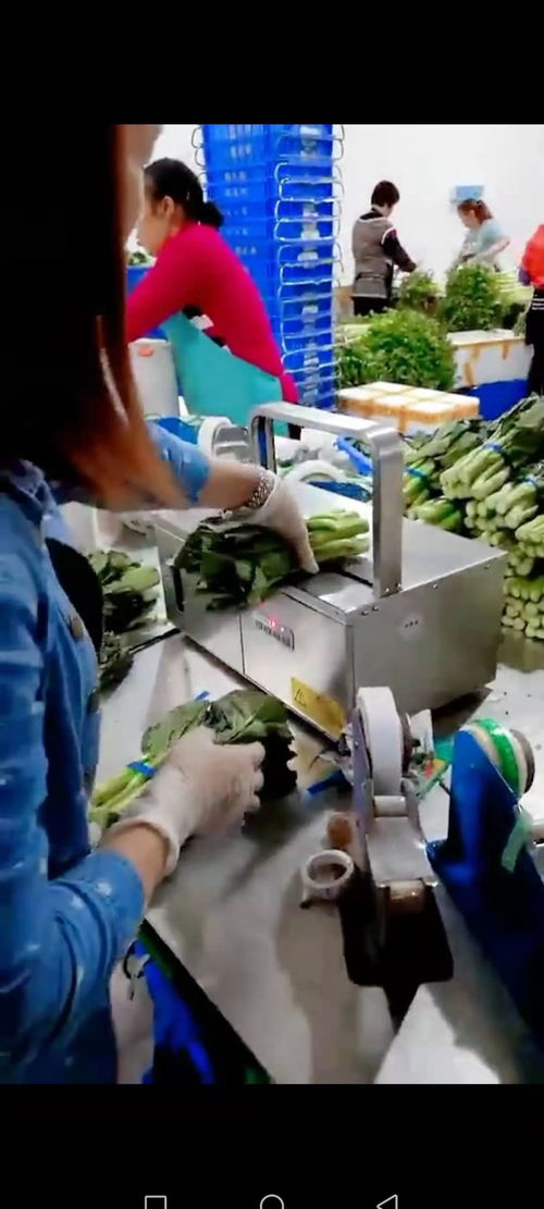智能設(shè)備賦能工廠，銷量翻番的幕后故事